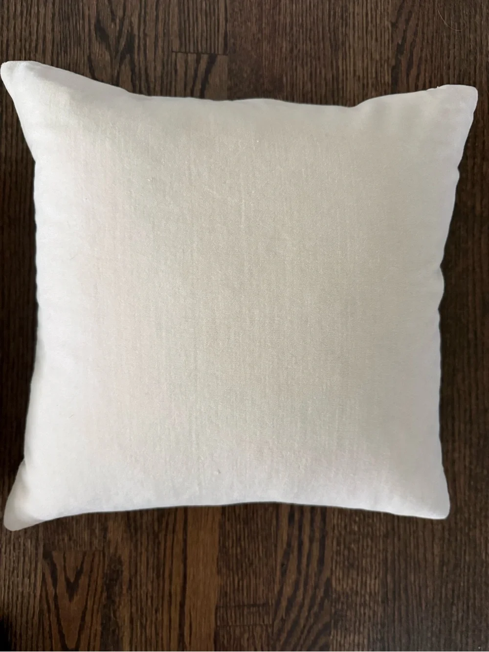 Crate&Barrel Crystal Beaded Pillow - Pair